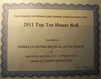 Al Attal Hawk Honor Roll